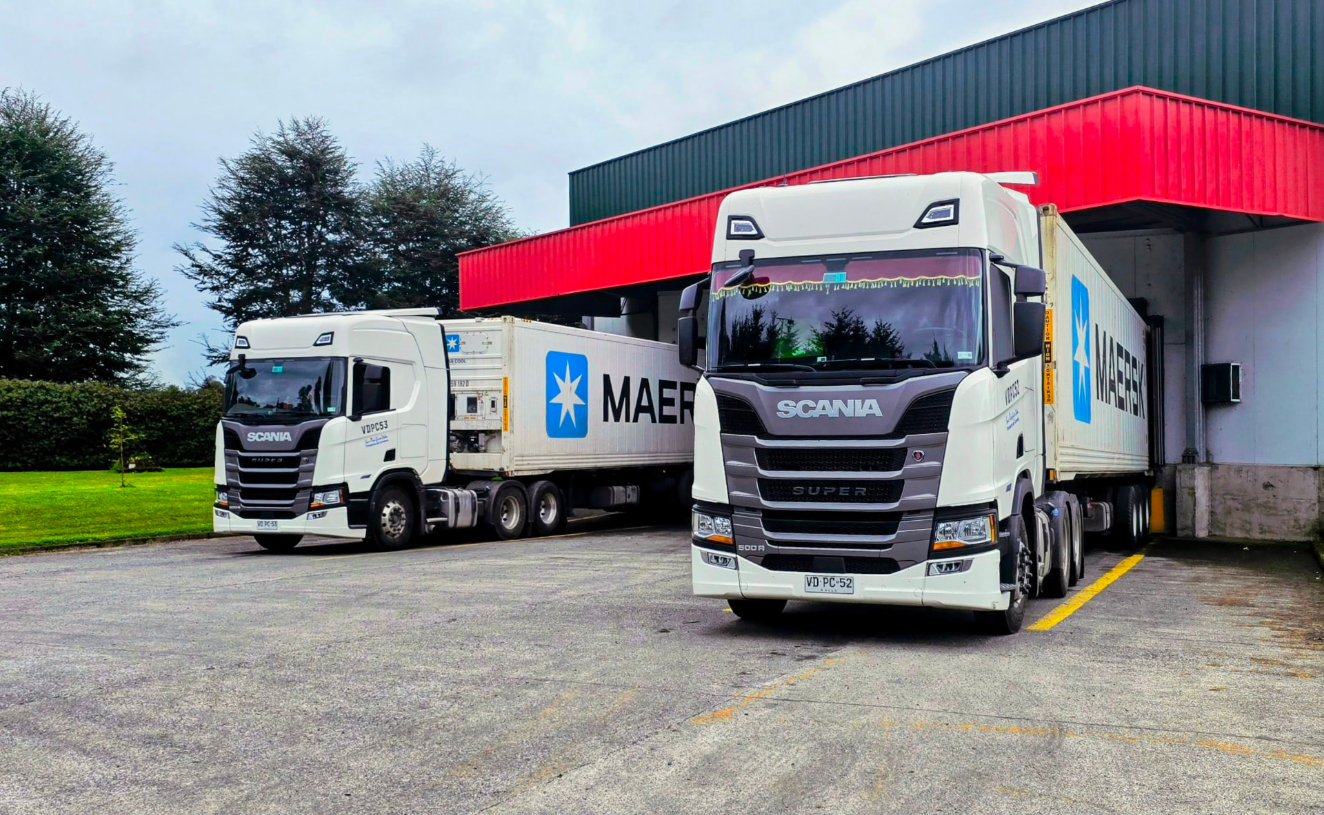 Imagen de servicio: Importación
