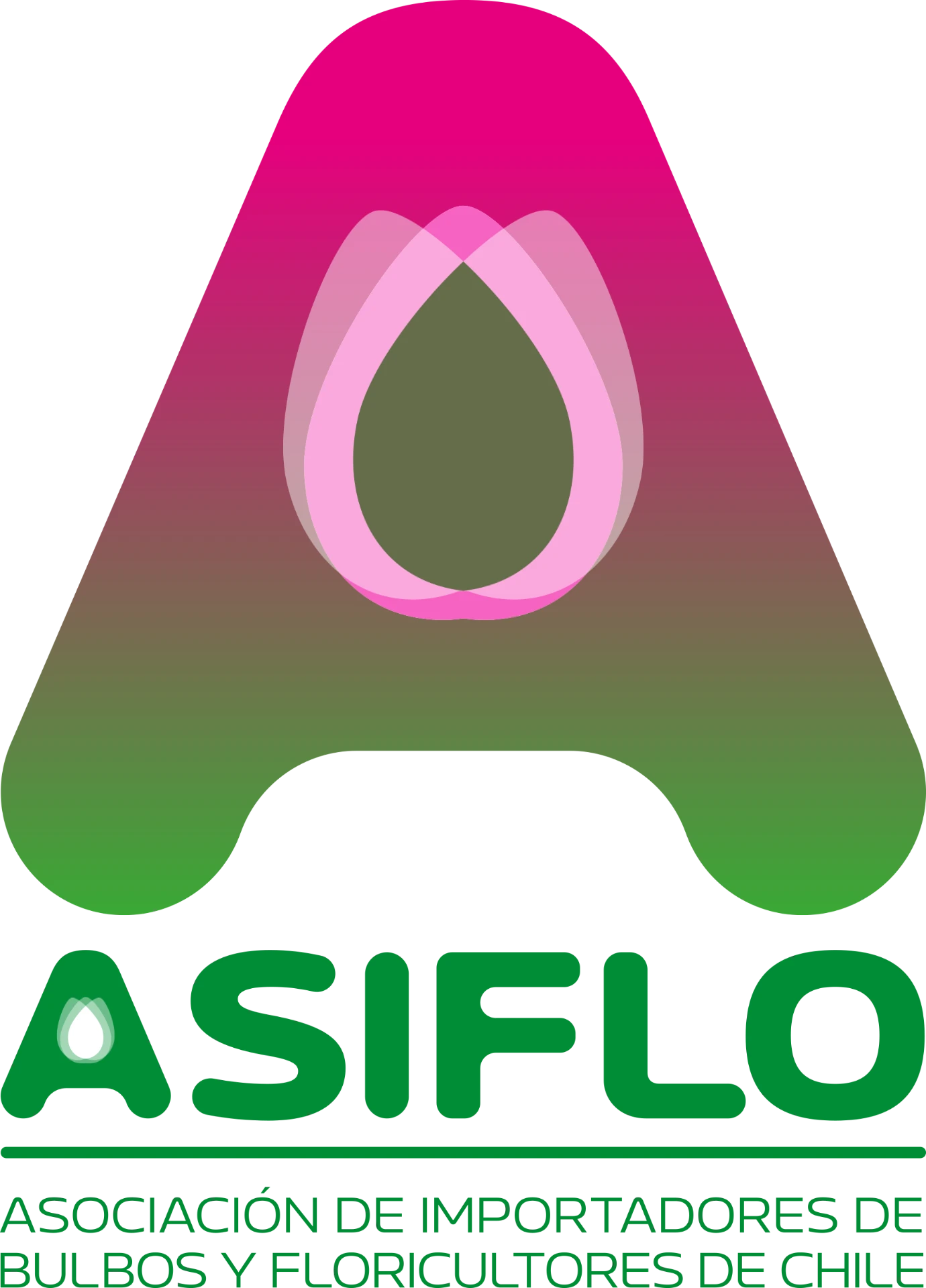 ASIFLO — Asociación de Importadores de Bulbos y Floricultores de Chile